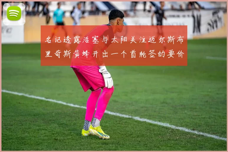 名记透露活塞与太阳关注迈尔斯布里奇斯黄蜂开出一个首轮签的要价